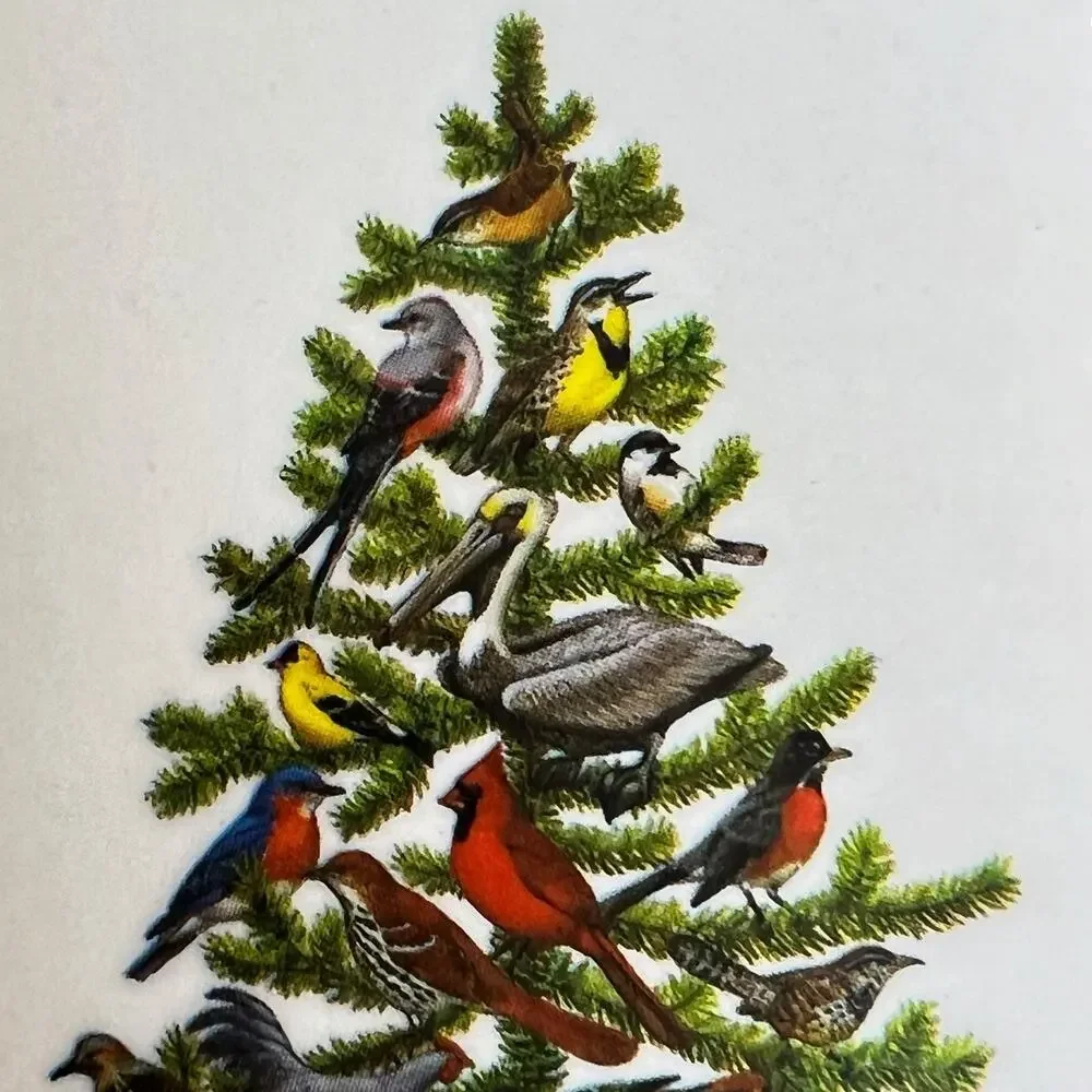 Pimpernel Americas Tree State Birds Coaster Set 6 Christmas 1978 Box Festive Vtg